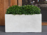 Photo of Campania Sandal Planters - Exclusively Campania